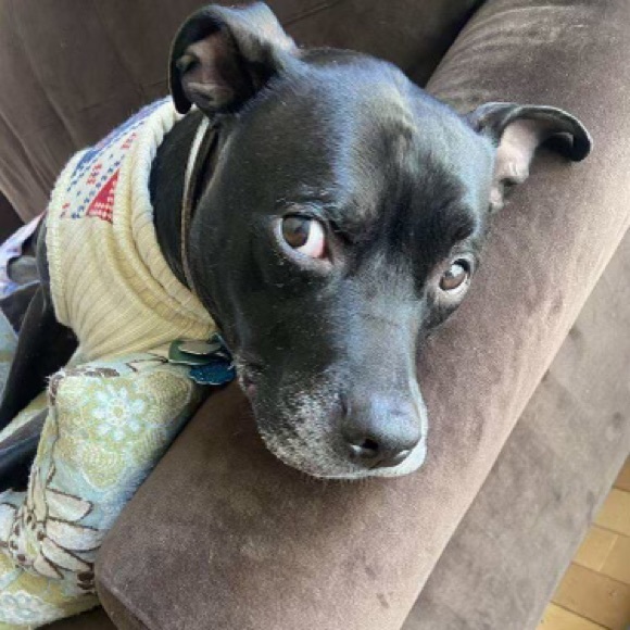 Meet your Posher, Esther - Picture 7 of 8